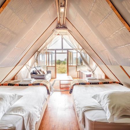 Buffelshoek Tented Camp Manyeleti Game Reserve Bagian luar foto