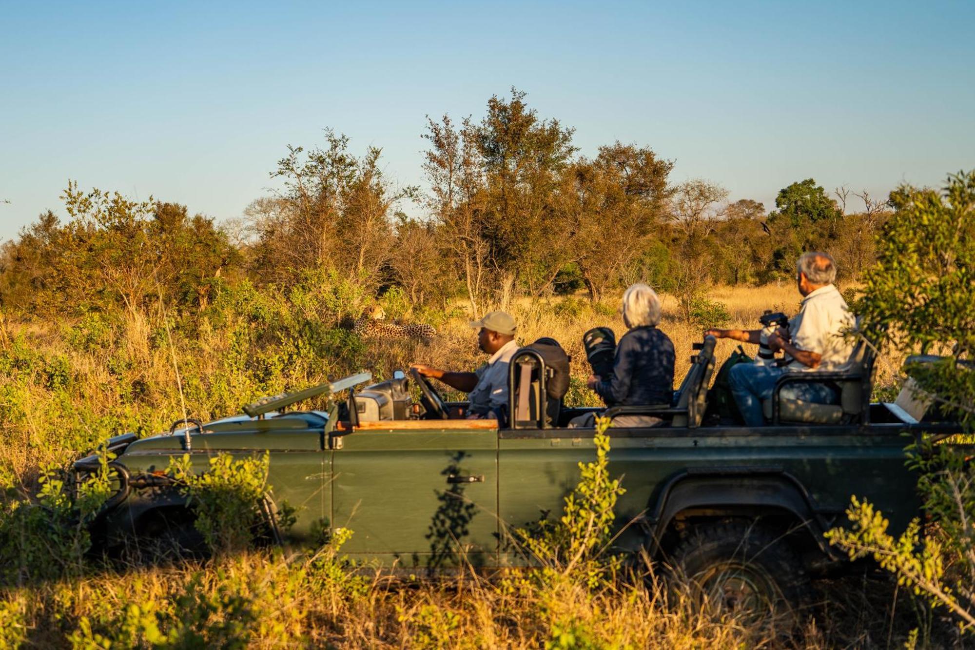 Buffelshoek Tented Camp Manyeleti Game Reserve Bagian luar foto
