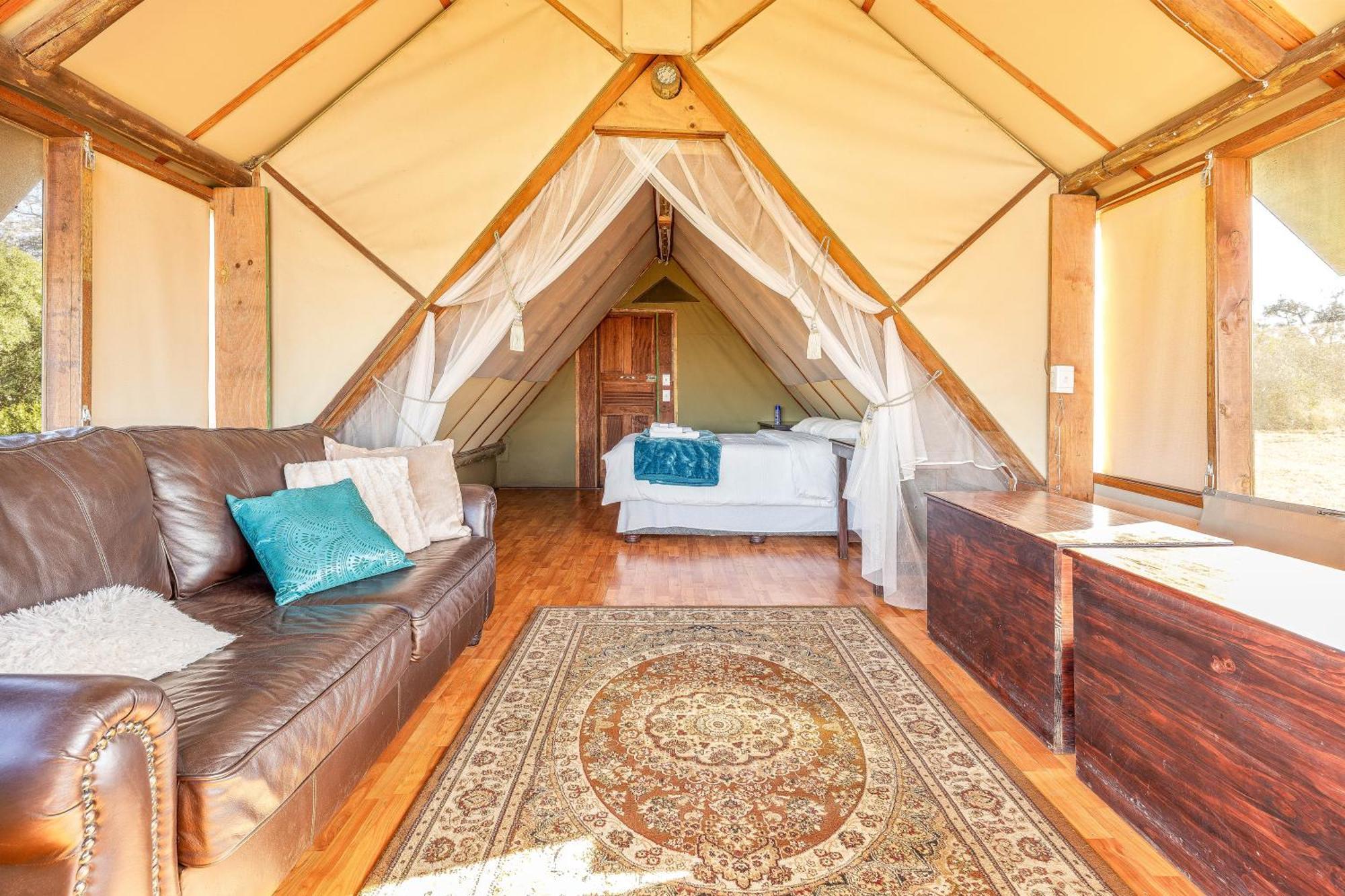 Buffelshoek Tented Camp Manyeleti Game Reserve Bagian luar foto