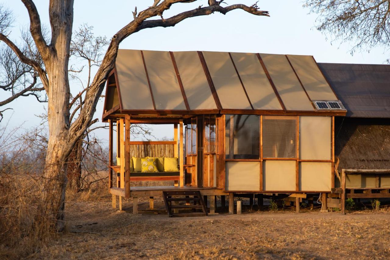 Buffelshoek Tented Camp Manyeleti Game Reserve Bagian luar foto