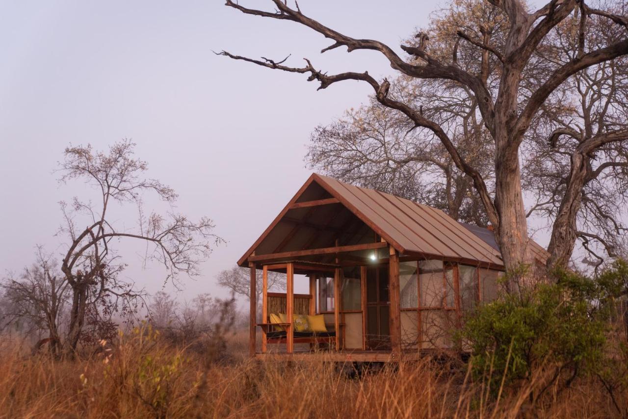 Buffelshoek Tented Camp Manyeleti Game Reserve Bagian luar foto