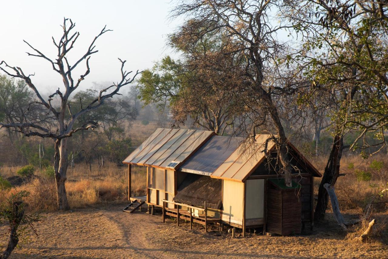 Buffelshoek Tented Camp Manyeleti Game Reserve Bagian luar foto