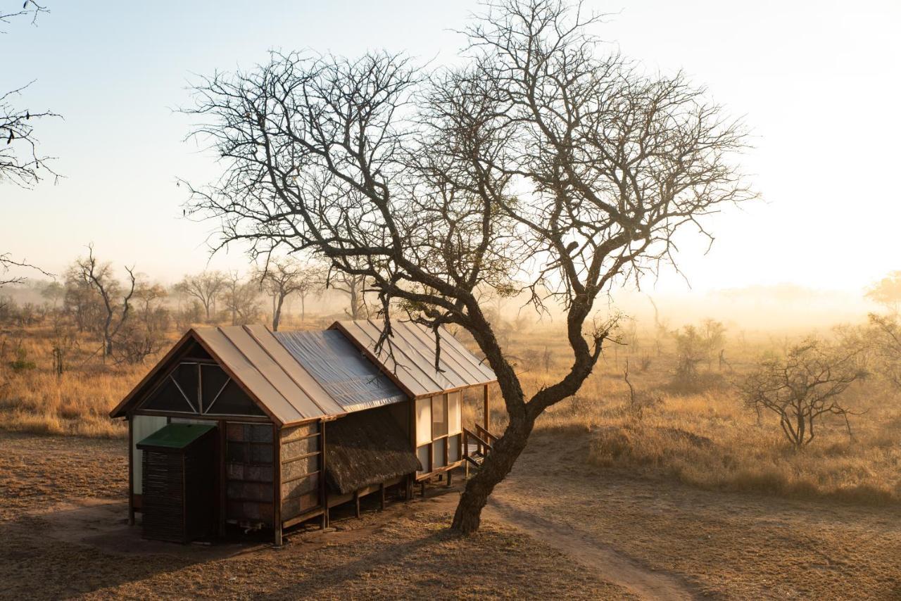 Buffelshoek Tented Camp Manyeleti Game Reserve Bagian luar foto