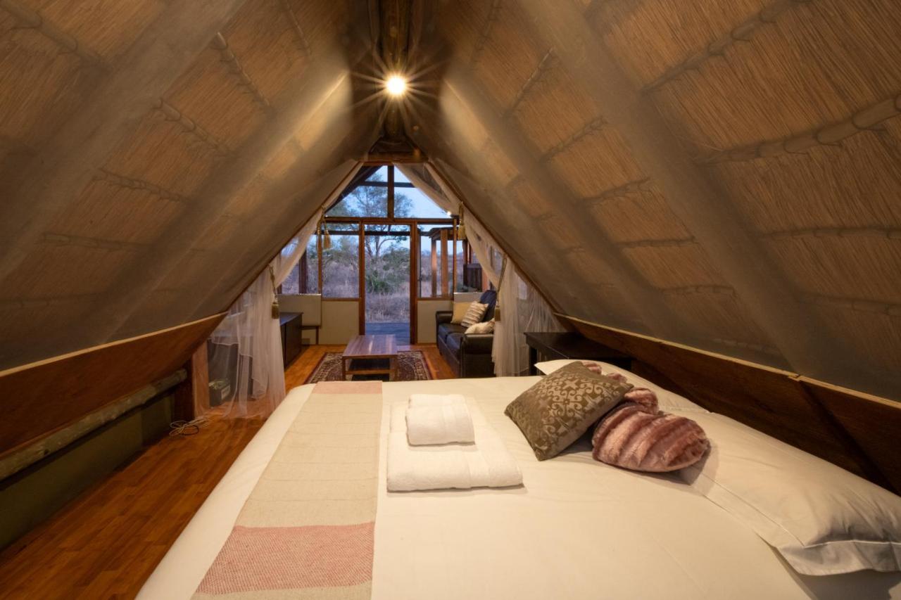 Buffelshoek Tented Camp Manyeleti Game Reserve Bagian luar foto